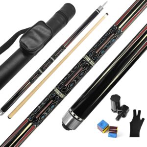 Billard Queue Set